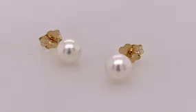 14K 5mm Akoya Pearl Earrings