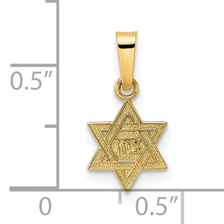 14K Yellow Gold Polished Texture Finish Unisex Star Of David Pendant