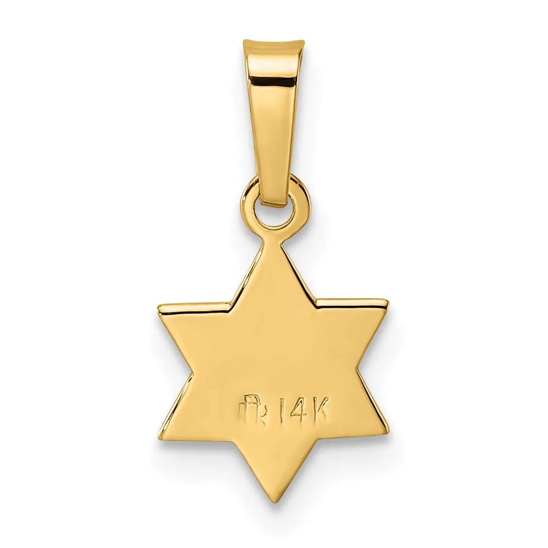 14K Yellow Gold Polished Texture Finish Unisex Star Of David Pendant