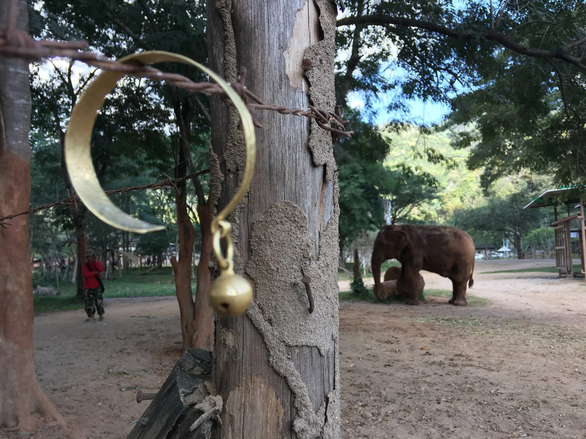 Bronze Bracelet and Ring with Bell