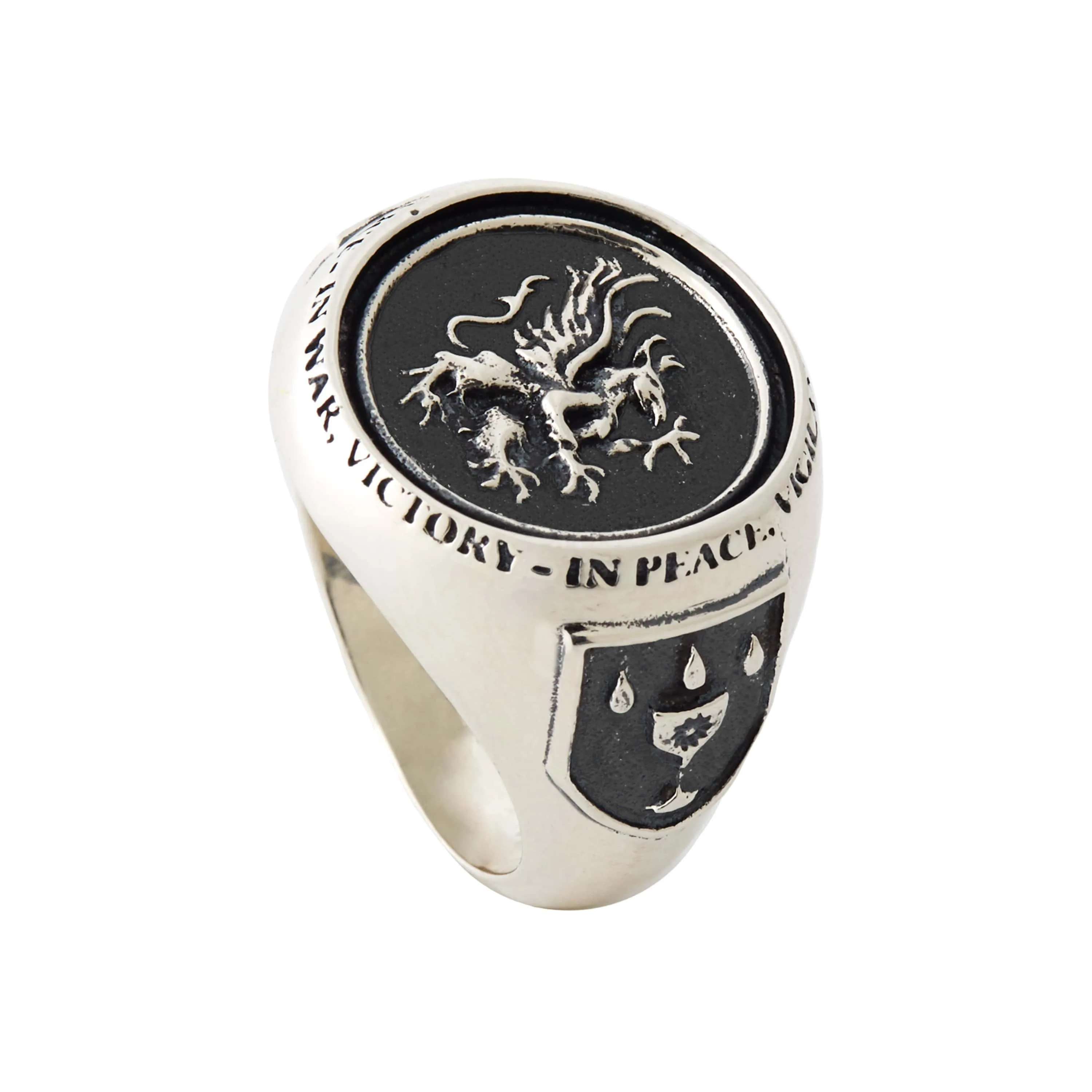 Dragon Age - Grey Warden Signet Ring: Sterling Silver