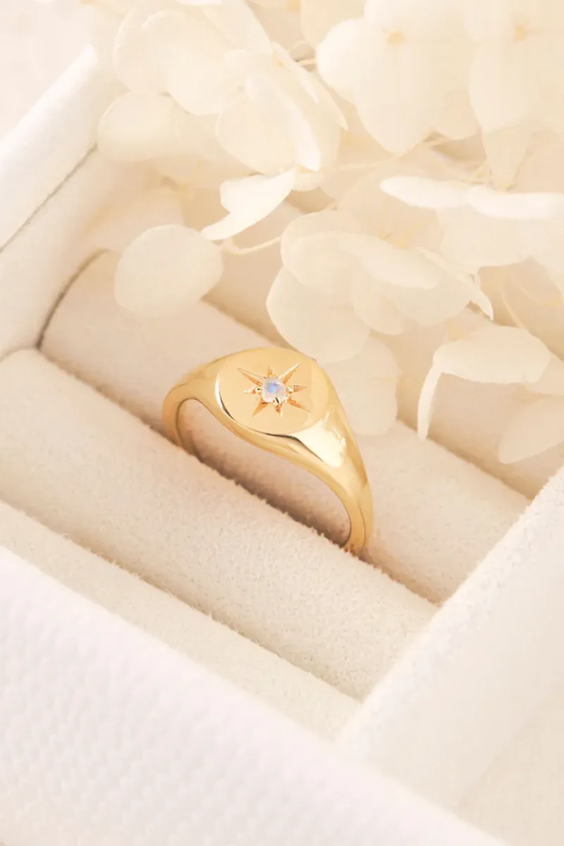 Enchanted Gold Signet Ring