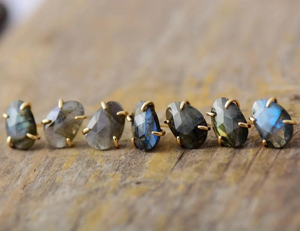 Faceted Labradorite Earrings