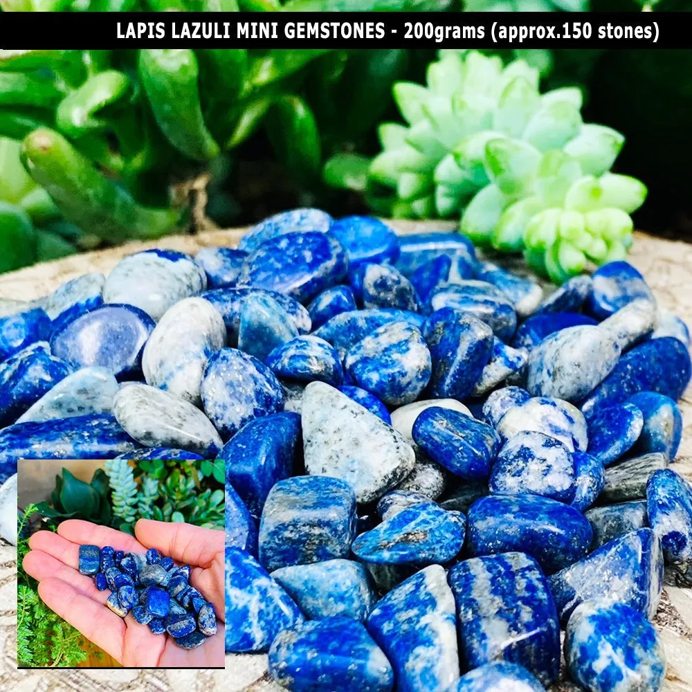 Lapis Lazuli Collectors Kit